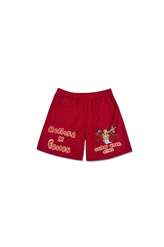 Meliora x Western Slope Fusion Mesh shorts